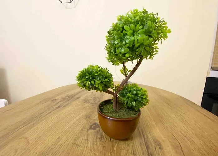 Apartament Jo-al Center Tirana